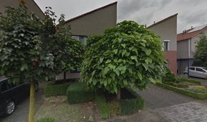 Plant Guarden, Bloemist in Venray