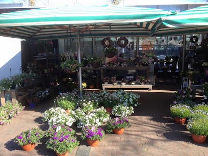 Lenteweelde Plate, Bloemist in Ede