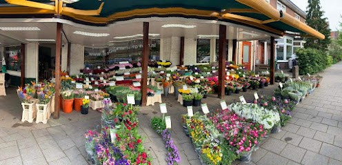 Tom en Ron Bloemen en Planten, Bloemist in Haarlem