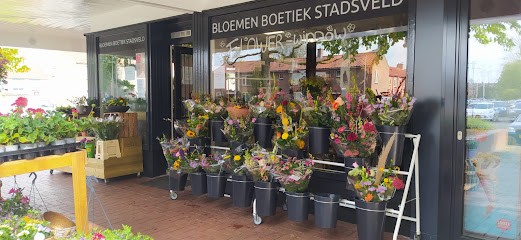 Bloemenboetiek-Stadsveld, Bloemist in Enschede