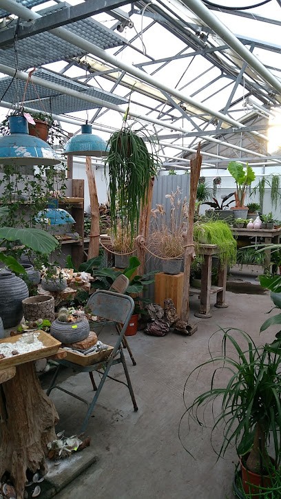 Bloemenwinkel Cor Van Schie Bloemen, Bloemist in Veghel