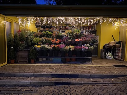 Snijder Bloemen Archipel, Bloemist in Den Haag