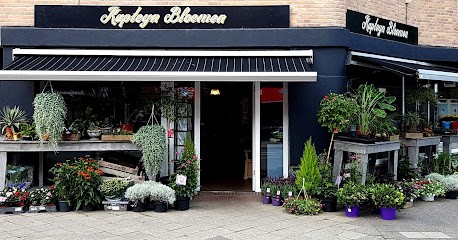 Kapteyn Flowers, Bloemist in Utrecht