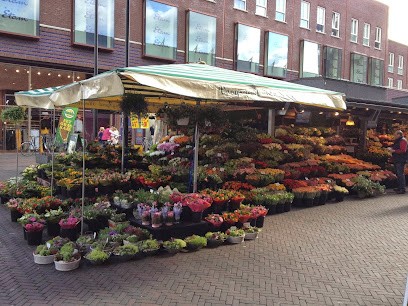 Voogsgerd Bloemen, Bloemist in Enschede