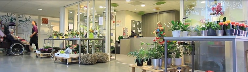 Bloemsierkunst Foekje de Boer, Bloemist in Drachten