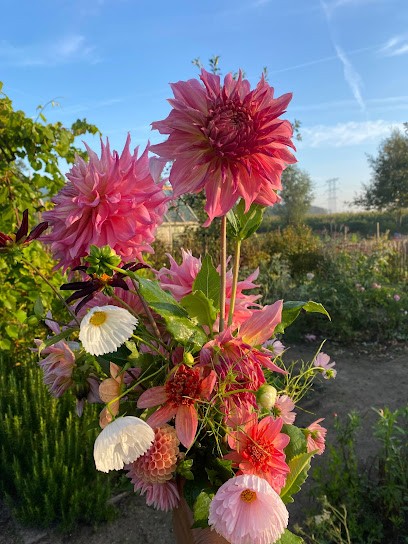 Flower My Day, Bloemist in Moergestel
