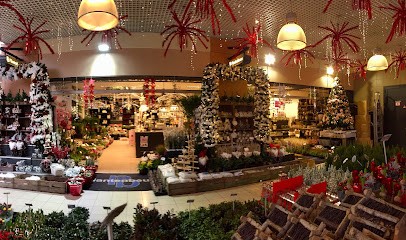 Plantenbeurs Bloemen & Planten, Bloemist in Spijkenisse