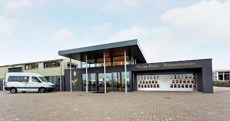 Van Der Hulst Rozenkwekerijen, Bloemist in Meterik