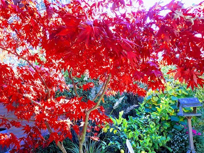 De Drenck, Bloemist in Moerstraten