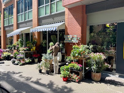 Blossom Florist, Bloemist in Den Haag