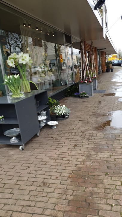 De Oranjerie, Bloemist in Renkum