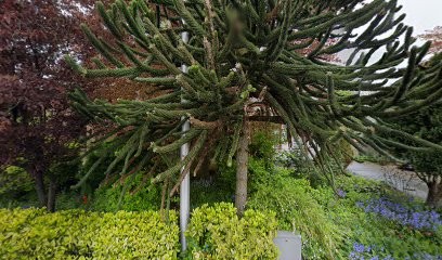 Kwekerij Zwita, Bloemist in Honselersdijk