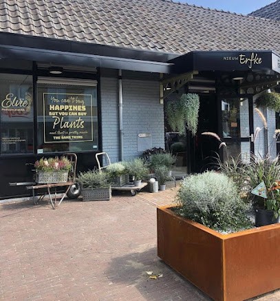 Nieuw Erfke, Bloemist in Liempde