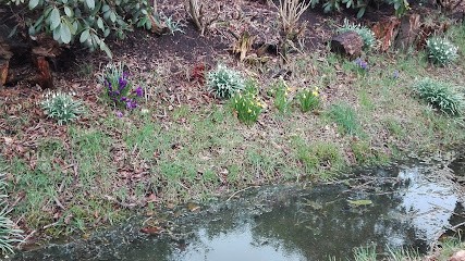 Visser Groenprojekten, Bloemist in Stoutenburg