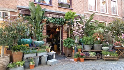 Bloemenatelier Klavertje Vijf, Bloemist in Haarlem