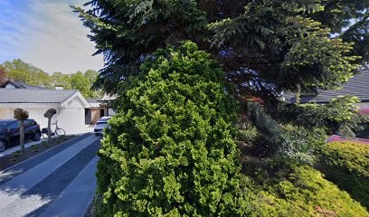 Super-Flora, Bloemist in Borne