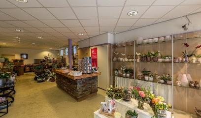 Sorelle bloem & kado, Bloemist in Steenwijk