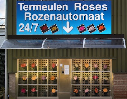 Termeulen Roses 24/7 rozen kopen, Bloemist in Almere