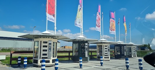 Avance Flowers Berkel en Rodenrijs, Bloemist in Berkel en Rodenrijs