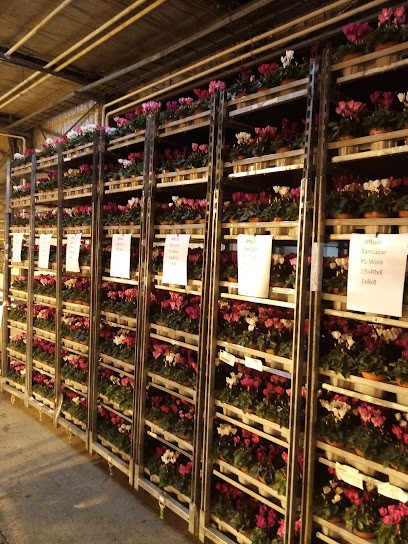 Bejafleur B.V., Bloemist in Huissen