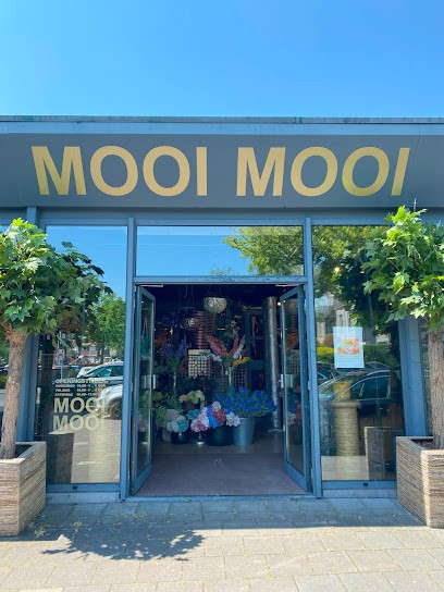 MOOI MOOI by New Chique Zijdebloemen, Bloemist in Winterswijk