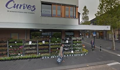 Fresh Bloemen En Planten Ridderkerk, Bloemist in Ridderkerk