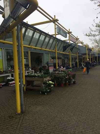 De Eeuwige Lente C.V., Bloemist in Castricum