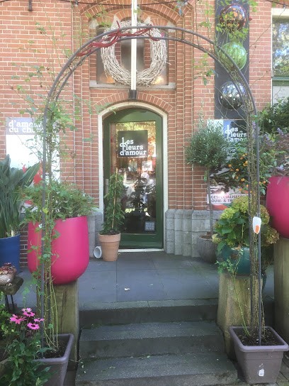 Les Fleurs d’Amour, Bloemist in Zuidlaren