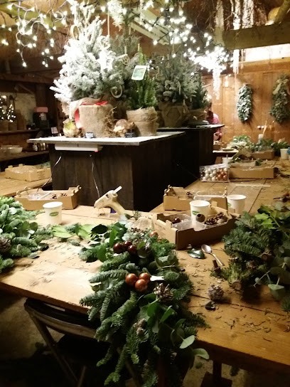 Blom & Tún, Bloemist in Buitenpost