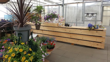 Bloemencentrum Hoondert, Bloemist in Ovezande