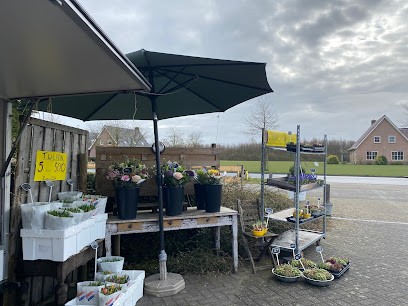 Padesi Bloemen, Bloemist in Zwaanshoek