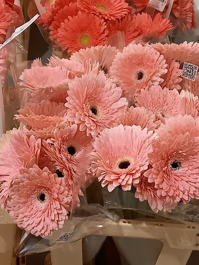 Het gerberaatje, Bloemist in Almere