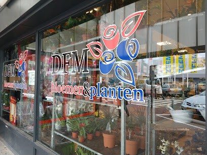DFM Bloemen en Planten, Bloemist in Eindhoven