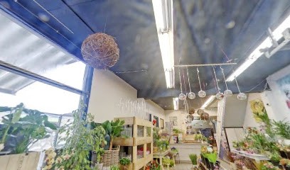 Boko Flowers, Bloemist in Schiedam