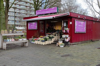 Dailey Flowers, Bloemist in Den Haag