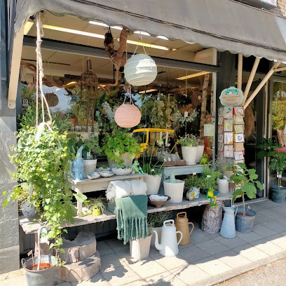 Anitaflowerpower, Bloemist in Schoorl