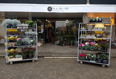 Vitamine bloem, Bloemist in Harlingen