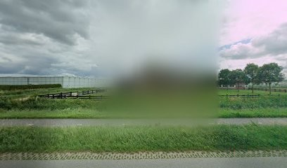 Sunshine Orchids, Bloemist in Wervershoof