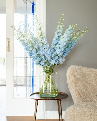 MIRRELL, Bloemist in Eindhoven