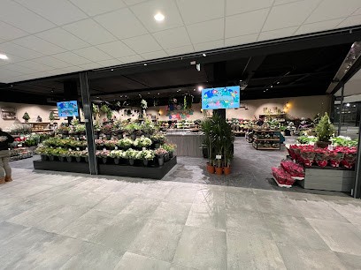 Bloemenjungle Ridderhof, Bloemist in Ridderkerk