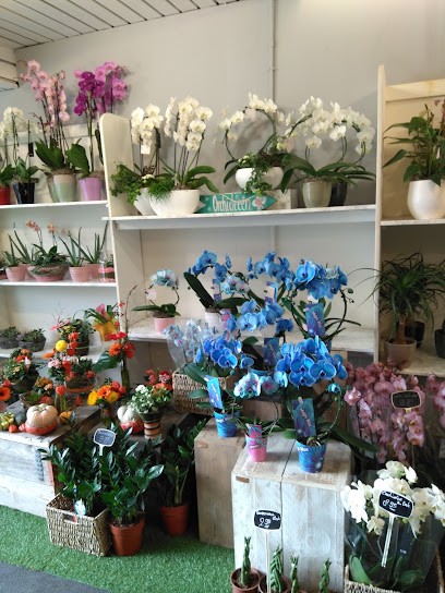 Brands bloemenhal, Bloemist in Rotterdam