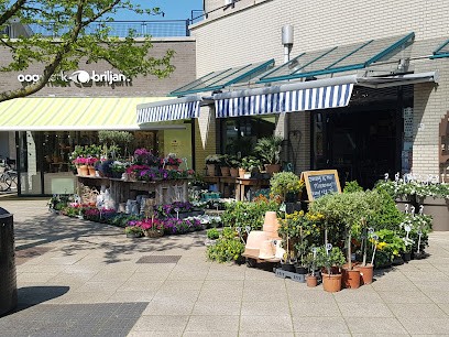Lobelia Kortenhoef, Bloemist in Kortenhoef