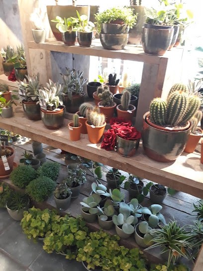 Flowers & Lifestyle, Bloemist in Roden