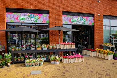 Damflowers 2.0 BV, Bloemist in Den Haag