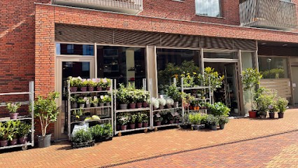 Homeflower style An BV, Bloemist in Eindhoven