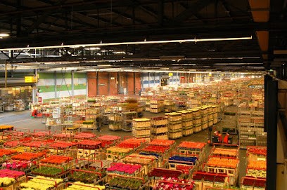 HMF - Bloemist Bloemen En Boeketten Uithoorn, Bloemist in Uithoorn