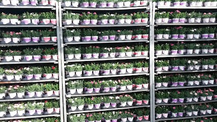 MCM Ammerlaan, Bloemist in Berkel en Rodenrijs