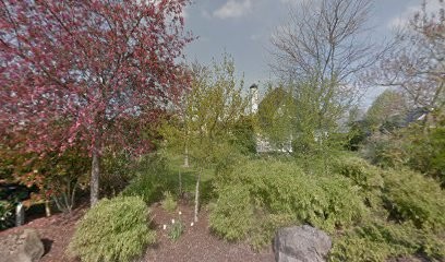 Kees Orchids B.V., Bloemist in Nieuwaal