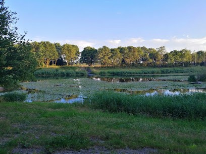 Plantenkwekerij Brekelmans V.O.F, Bloemist in Cromvoirt