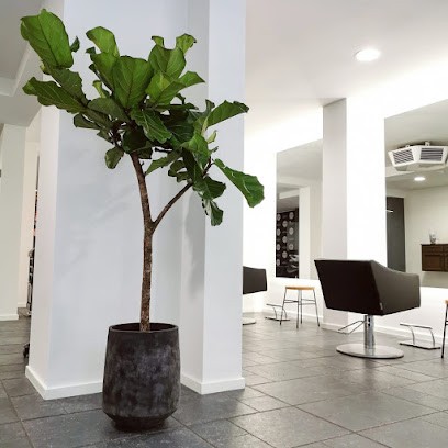 Bloom, beej Tess bloemenwinkel, Bloemist in Venlo